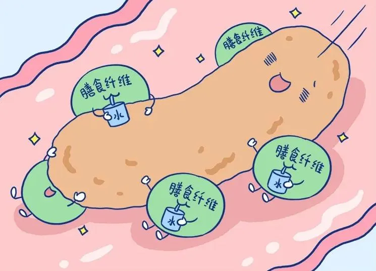 吃對(duì)、動(dòng)夠、睡足，全方位呵護(hù)腸道健康