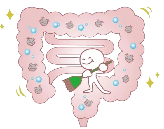 吃對(duì)、動(dòng)夠、睡足，全方位呵護(hù)腸道健康